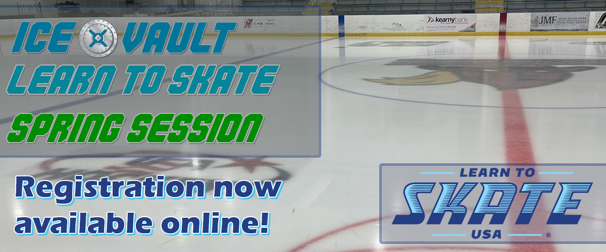Learn to Skate Winter Session
